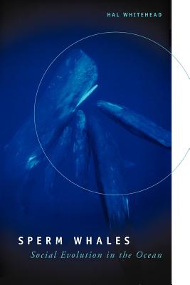 Hal Whitehead 楽天ブックス: Sperm Whales: Social Evolution in the Ocean - Hal Whitehead ...