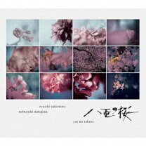 楽天市場】八重の桜の通販