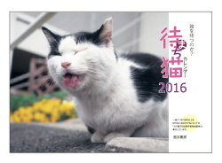 待ち猫カレンダー2016