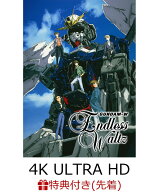 【先着特典】新機動戦記ガンダムW Endless Waltz 特別篇 4KリマスターBOX【4K ULTRA HD】(キャスト複製サ…