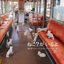 ねこ？ がいるよ