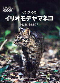 コレクション かわいい イリオモテヤマネコ イラスト 最も 無料のイラストや画像