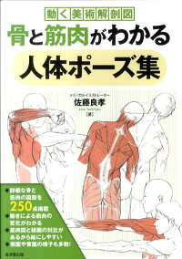 楽天ブックス 骨と筋肉がわかる人体ポーズ集 動く美術解剖図 佐藤良孝 本