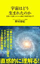 宇宙はどう生まれたのか　世界の「起源」がわかる素粒子物理学超入門（マガジンハウス新書）