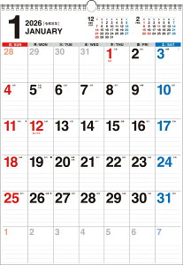 yK11z@2026N@ݎVvǊ|J_[mB3^en iiX̕Ǌ|J_[j [ iXҏW ]