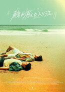 鯨が消えた入り江 (通常盤)【Blu-ray】