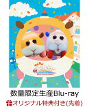 【楽天ブックス限定先着特典】PUI PUI モルカー DRIVING SCHOOL(数量限定生産)【Blu-ray】(ナンバープレート風アク…