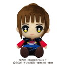 戦隊ヒーローぬいぐるみシリーズ　フリント
