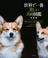 新装版　世界で一番美しい犬の図鑑 [ タムシン・ピッケラル ]