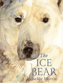 The Ice Bear ICE BEAR [ Jackie Morris ]