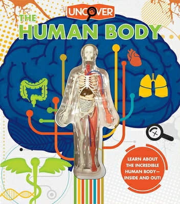 楽天ブックス: Uncover the Human Body - Luann Colombo  