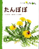 たんぽぽ