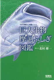 楽天市場 軟体動物 図鑑の通販
