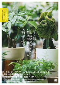 もう枯らさない！観葉植物の育て方 プロが教えるセオリー＆アイデア [ cotoha 谷奥 俊男 ]
