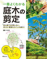 一番よくわかる　庭木の剪定　初心者でも失敗しない、切り方・管理のポイントを紹介！ [ 小池英憲 ]