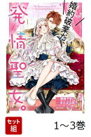 婚約破棄だ、発情聖女 1-3巻セット