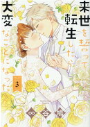 来世を誓って転生したら大変なことになった（3）