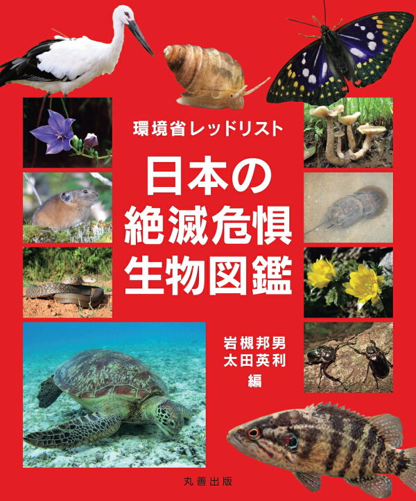 楽天ブックス: 環境省レッドリスト 日本の絶滅危惧生物図鑑 - 岩槻 