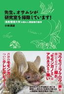 先生、オサムシが研究室を掃除しています!