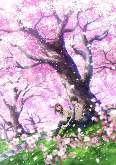 楽天ブックス 劇場アニメ 君の膵臓をたべたい 完全生産限定版 Blu Ray 高杉真宙 Dvd