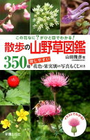 散歩の山野草図鑑