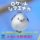 ロケットシマエナガ