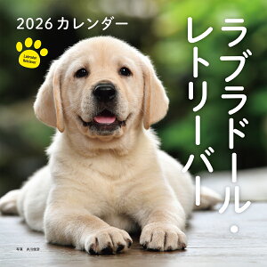 2026NJ_[ uh[Eg[o[ iVЃJ_[j [  rF ]