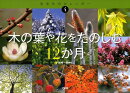 木の葉や花をたのしむ12か月
