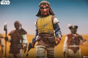 『スター・ウォーズ』 1/6スケールフィギュア 【スカム＆ヴィラニー・オブ・スター・ウォーズ】 ヴィザム (フィギュア)