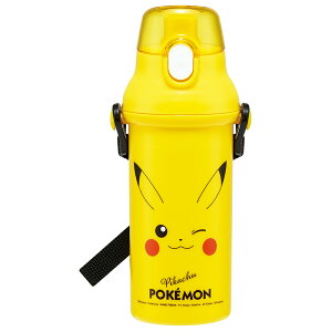 |P sJ`E tFCX25@ q LN^[ qlv݃{g 480ml