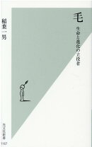 毛