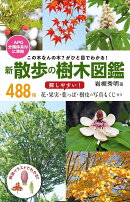 この木なんの木？がひと目でわかる！ 新 散歩の樹木図鑑