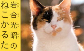 �������Τͤ����뤿