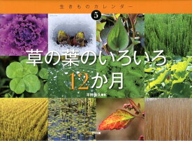 楽天市場 カレンダー 植物の通販 楽天市場 カレンダー 植物の通販