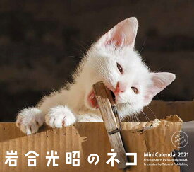 楽天市場 ねこ 岩合光昭の通販