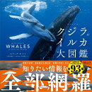 ビジュアル　クジラ＆イルカ大図鑑