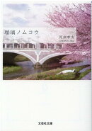 【文芸社文庫】　瑠璃ノムコウ