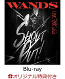 【楽天ブックス限定条件あり特典】【クレジットカード決済限定】WANDS Live Tour 2023 〜SHOUT OUT！〜【Blu-ray】(…