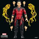 【予約】ハズブロ（Hasbro）MARVEL マーベルレジェンド・シリーズ シャン・チー、マーベル・スタジオ映画『アベンジャーズ／ドゥームズデイ』コレクション用 15 cm アクションフィギュアギフト G2378 正規品