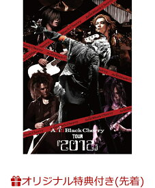 【楽天ブックス限定先着特典】Acid Black Cherry TOUR 『2012』(いつでもイッショニ連キーホルダー(『2012』ver.)) [ Acid Black Cherry ]