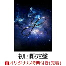 【楽天ブックス限定先着特典】Wormhole / Yumi AraI (初回限定盤 2CD＋Blu-ray)＜※早期予約シリアルコード対象外＞(クリアファイル（A4サイズ）)