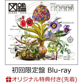 【楽天ブックス限定配送パック】【楽天ブックス限定先着特典】図鑑 (初回生産限定盤 CD＋Blu-ray)(クリアポーチ)