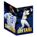 大谷翔平 オフィシャルグッズ THE GOLDEN TWO-WAY ダブルポケットクリアファイル