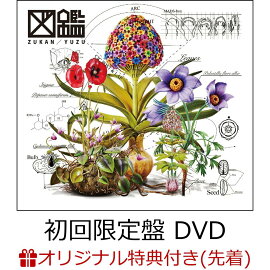 【楽天ブックス限定配送パック】【楽天ブックス限定先着特典】図鑑 (初回生産限定盤 CD＋DVD)(クリアポーチ)