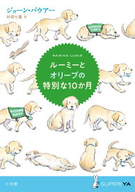 ルーミーとオリーブの特別な10か月 （SUPER! YA） [ ジョーン・バウアー ]