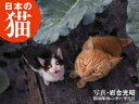 2019年カレンダー　日本の猫 [ 岩合　光昭 ]