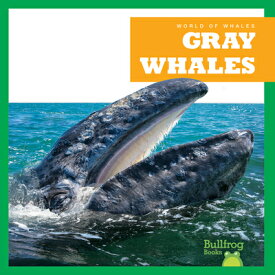 Gray Whales GRAY WHALES （World of Whales） [ Eliza Leahy ]