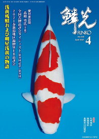 楽天市場 錦鯉 浅黄の通販