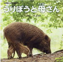 うりぼうと母さん　矢野誠人の写真絵本