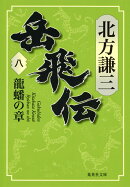 岳飛伝 8 龍蟠の章